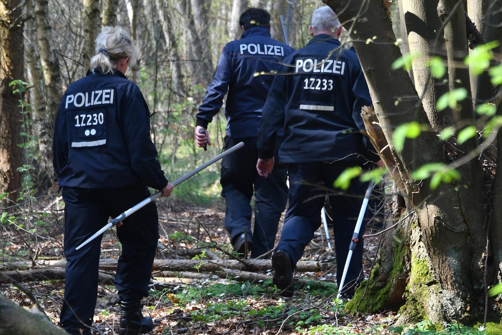 Polizeibeamte durchsuchen einen Wald in Brandenburg (Archivfoto): Die Polizei hat einen Verdächtigen im Fall Georgine festgenommen.