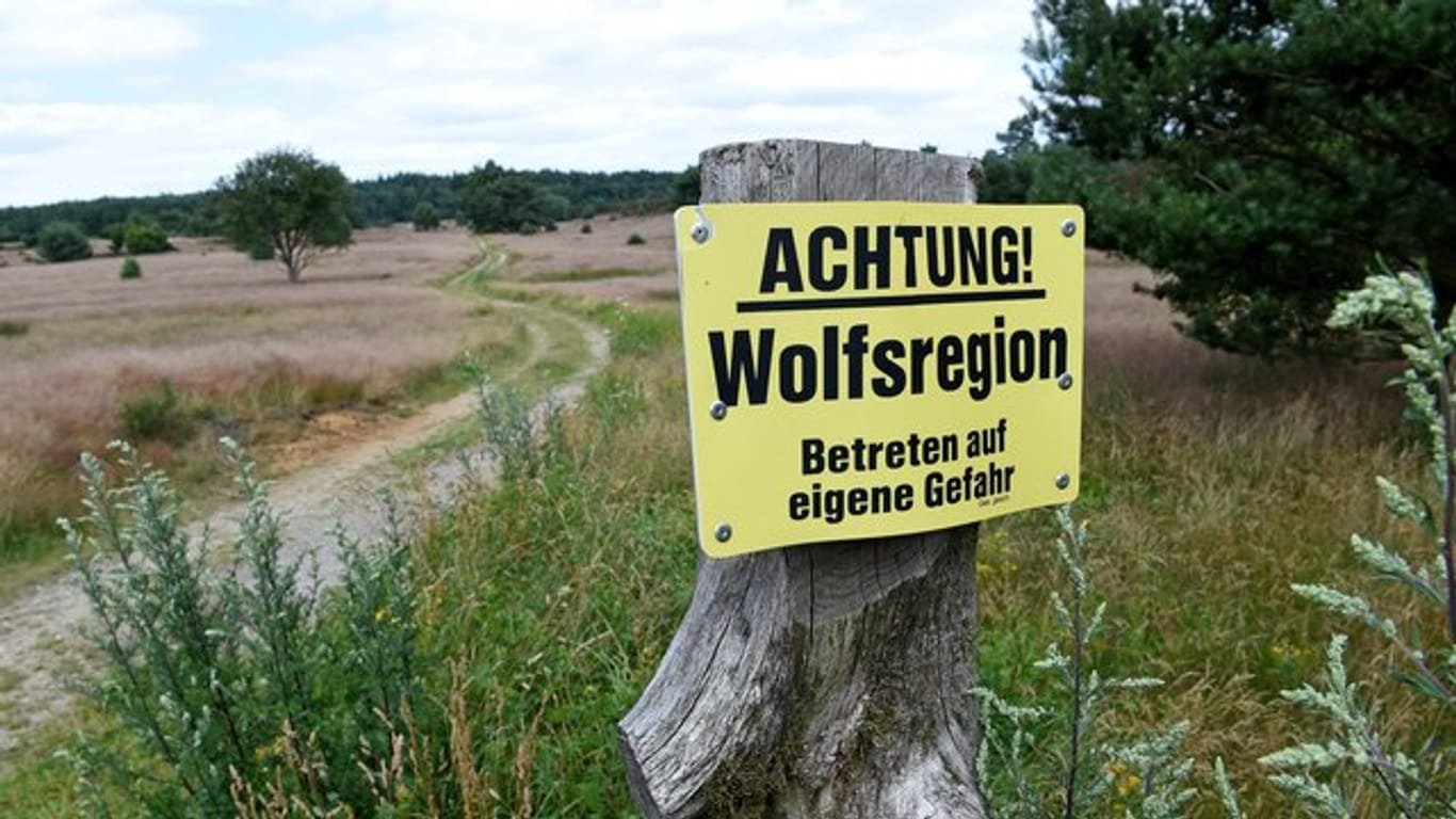 "Achtung Wolfsregion, Betreten auf eigene Gefahr": Hinweistafel am Rand der Timmerloher Heide in der Nähe von Soltau direkt an der Bundesautobahn 7.