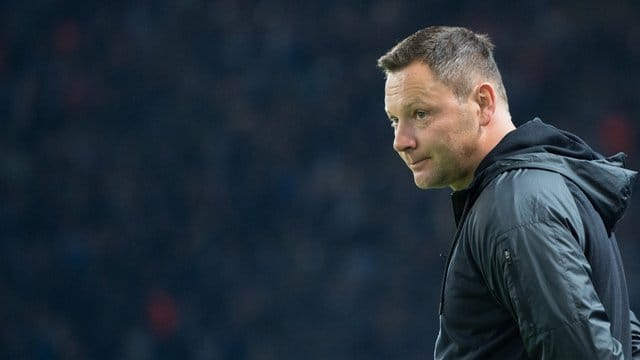Berlins Trainer Pal Dardai will auch im Spiel gegen Eintracht Frankfurt auf eine Doppelspitze setzen. Berlins Trainer Pal Dardai will auch im Spiel gegen Eintracht Frankfurt auf eine Doppelspitze setzen.