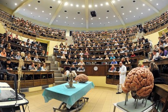 Vorlesung zu Neuroanatomie im historischen Hörsaal am Institut für Anatomie der Universität Leipzig.