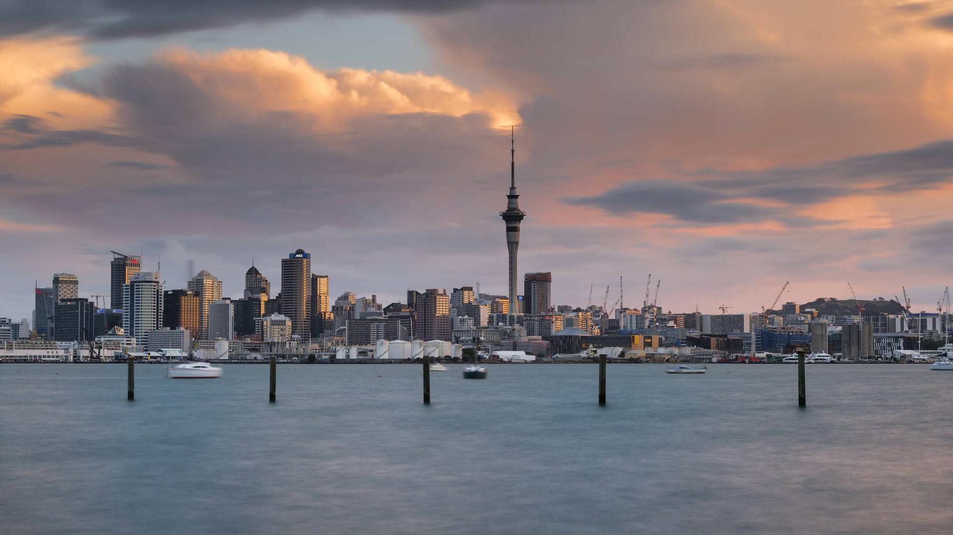Blick auf Auckland: In einem Außenbezirk der neuseeländischen Großstadt fand die Polizei die mutmaßliche Leiche der vermissten Backpackerin. (Archivbild) Blick auf Auckland: In einem Außenbezirk der neuseeländischen Großstadt fand die Polizei die mutmaßliche Leiche der vermissten Backpackerin. (Archivbild)