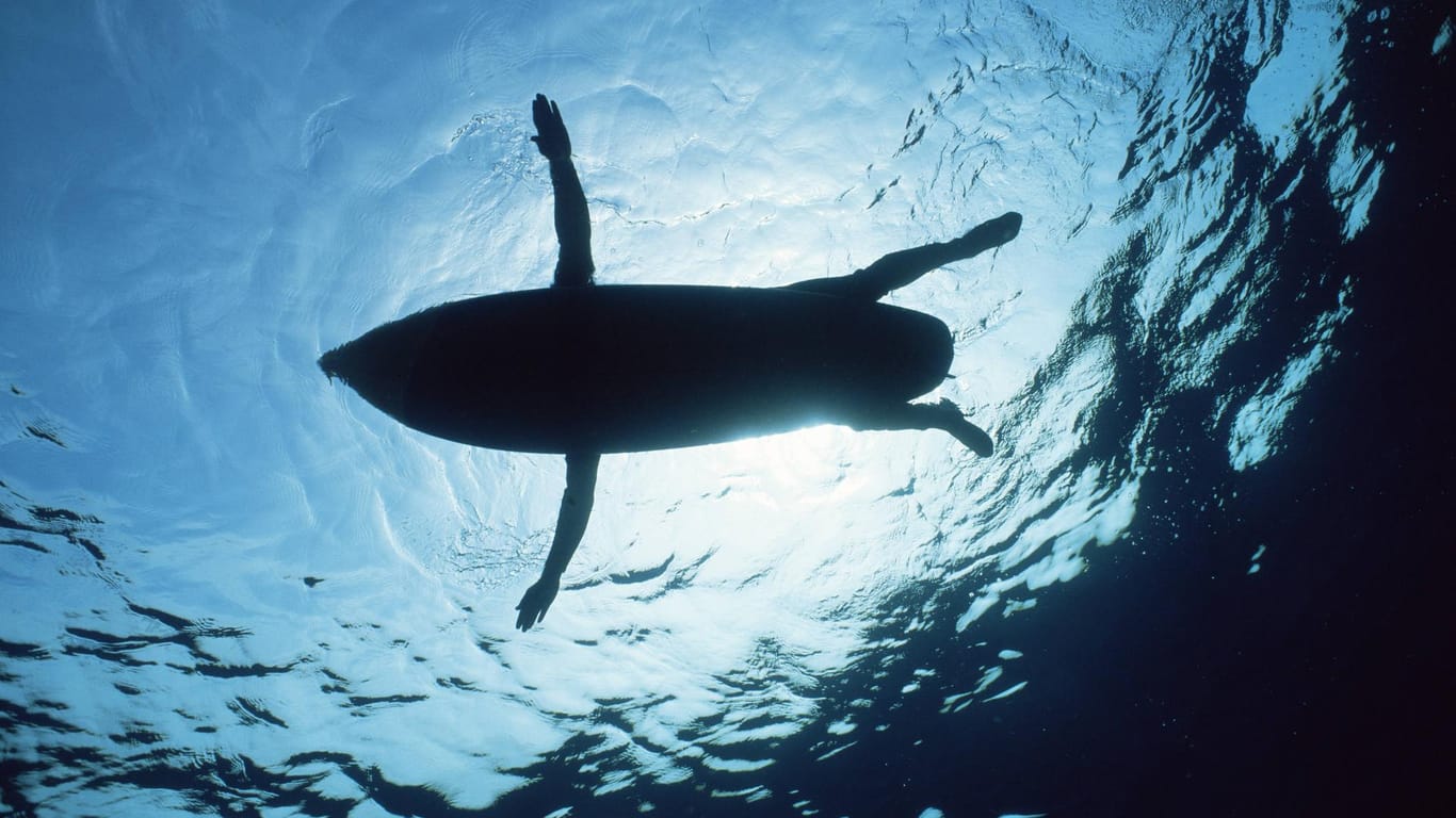 Ein Surfer an der Wasseroberfläche aus dem Blickwinkel eines Hais: Unklar ist, um welche Hai-Art es sich bei dem Vorfall handelte. (Symbolbild)
