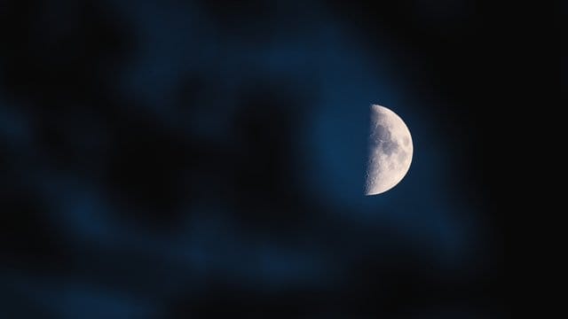 Der Mond ist zwischen den Ästen eines Baumes zu sehen.
