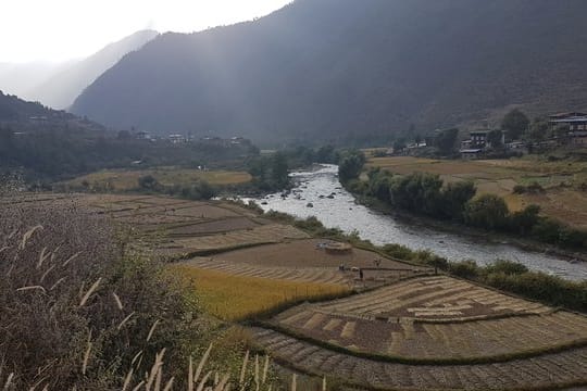 Bhutan gilt als einziges klimaneutrales Land der Welt, leidet aber unter den Folgen des Klimawandels.