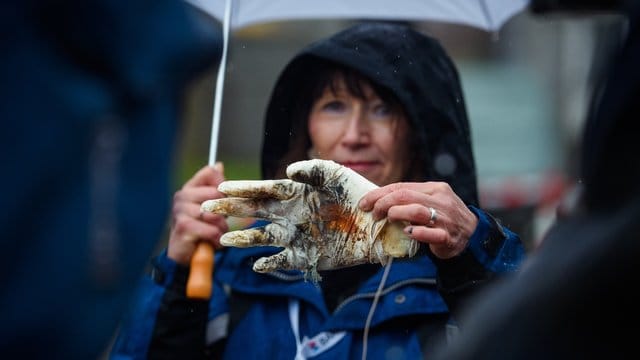 Heidrun Fink von der Bundesanstalt für Materialforschung und -prüfung zeigt nach einem Versuch mit Böllern eine verbrannte Handattrappe. Heidrun Fink von der Bundesanstalt für Materialforschung und -prüfung zeigt nach einem Versuch mit Böllern eine verbrannte Handattrappe.
