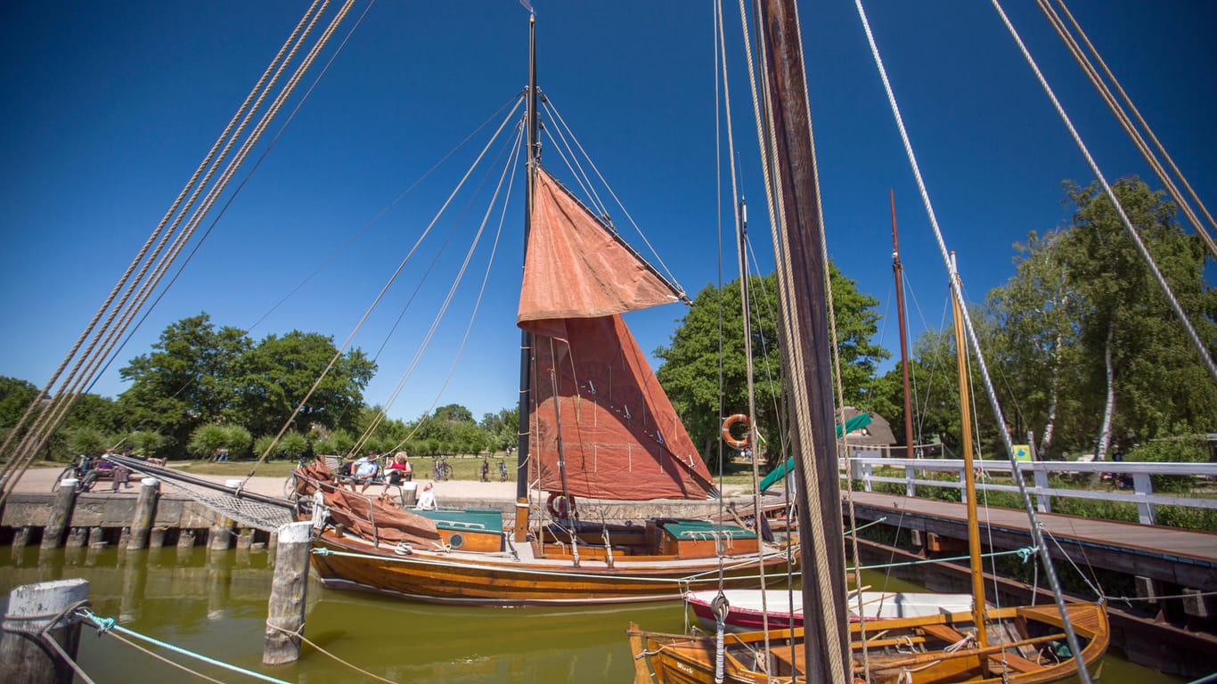Zeesboote mit ihren typischen braunen Segeln liegen im kleinen Boddenhafen auf der Ostsee-Halbinsel Fischland-Darß-Zingst: Auch die traditionellen Zeesboote in den vorpommerschen Bodden stehen nun in der Liste des immateriellen Kulturerbes.