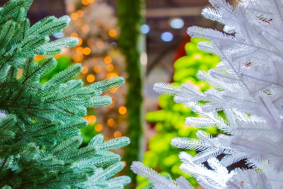 Grüner und weißer Weihnachtsbaum: Für so manchen stellt sich auch dieses Jahr die Frage: ein natürlicher oder ein künstlicher Weihnachtsbaum?