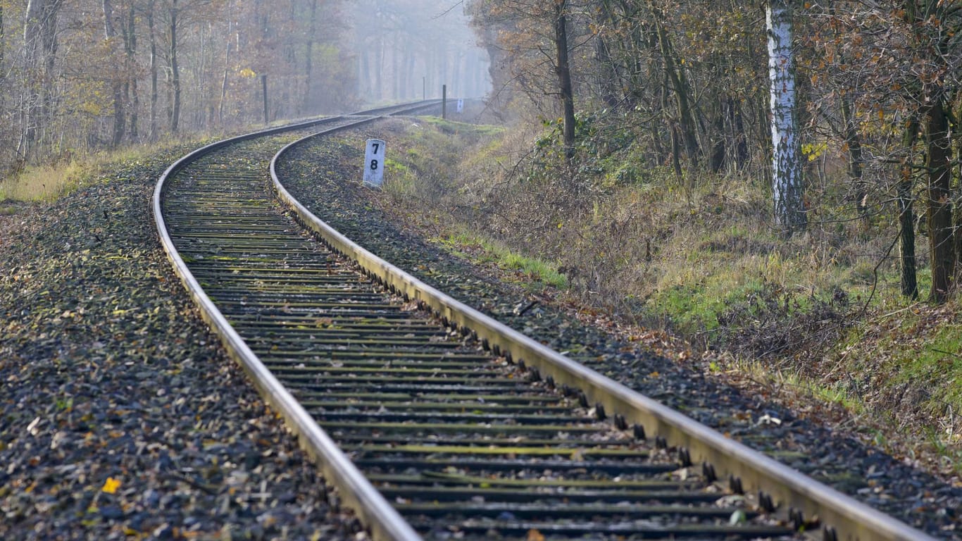 Bahnschienen in Niedersachsen: Unbekannte haben Hindernisse auf die Gleise gelegt. (Symbolbild)