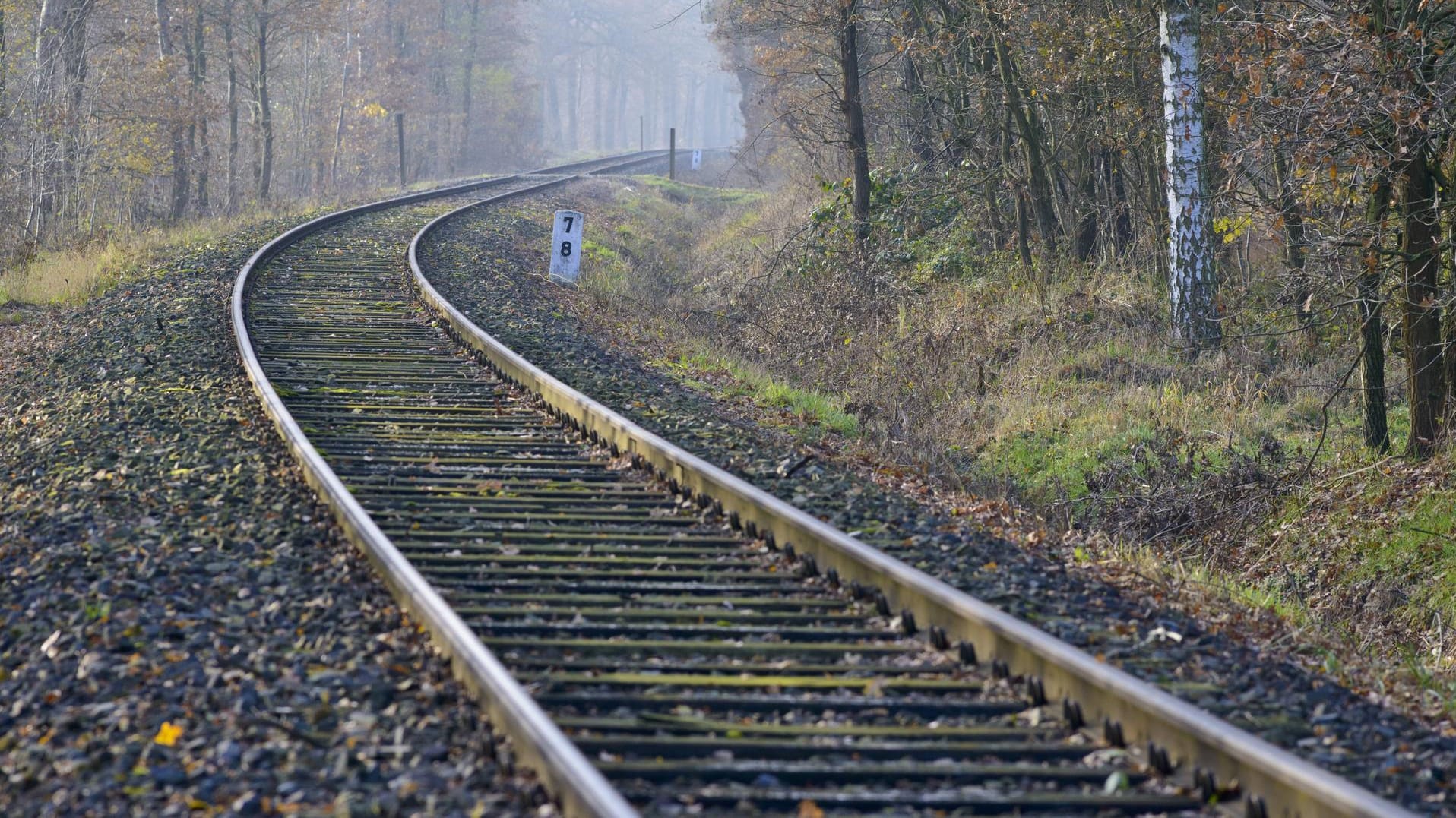 Bahnschienen in Niedersachsen: Unbekannte haben Hindernisse auf die Gleise gelegt. (Symbolbild) Bahnschienen in Niedersachsen: Unbekannte haben Hindernisse auf die Gleise gelegt. (Symbolbild)