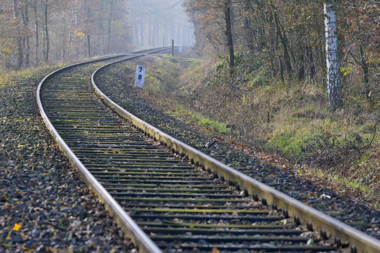 Bahnschienen in Niedersachsen: Unbekannte haben Hindernisse auf die Gleise gelegt. (Symbolbild)