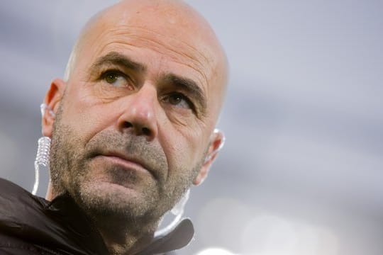 Peter Bosz hatte schon den BVB trainiert.