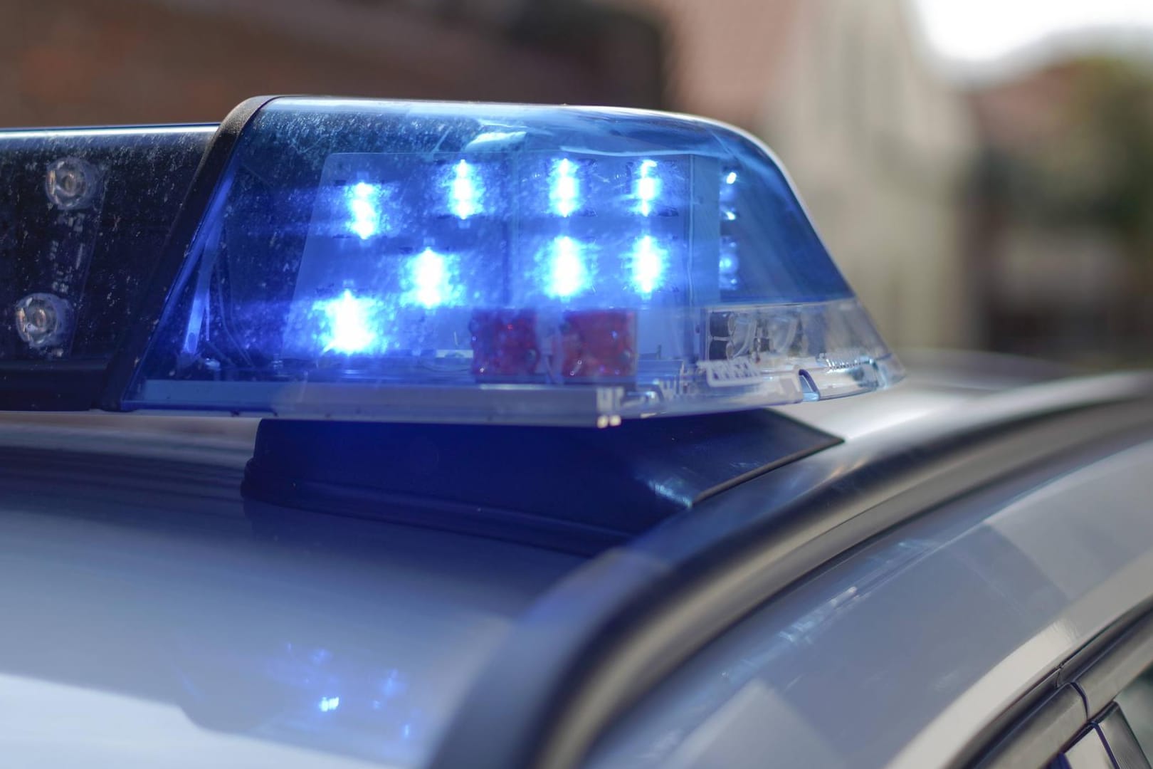 Blaulicht der Polizei: Ermittler suchen nach den Dieben in Mainz-Bischofsheim. (Symbolfoto)