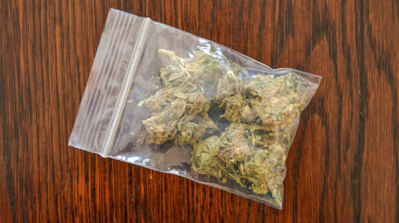 Eine Tüte mit Cannabis: Insgesamt fünf Drogenhändler nahm die Polizei fest. (Symbolbild)