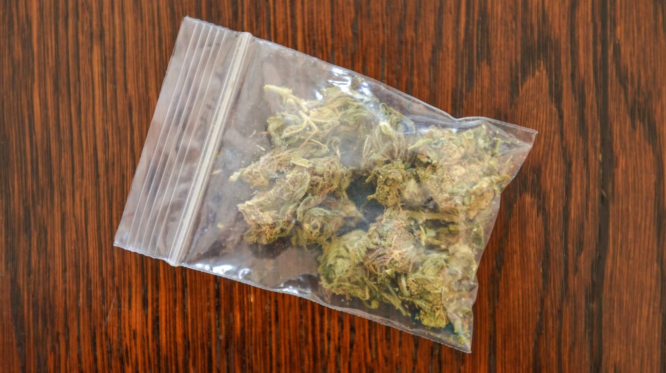 Eine Tüte mit Cannabis: Insgesamt fünf Drogenhändler nahm die Polizei fest. (Symbolbild)