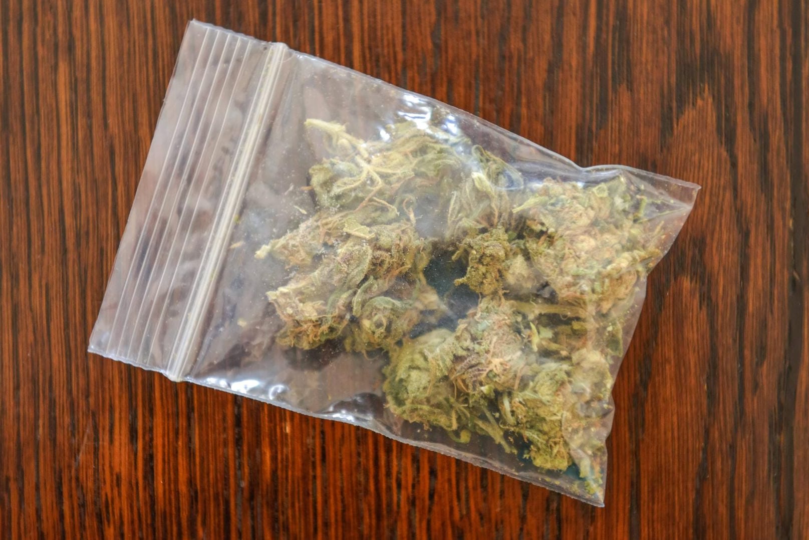 Eine Tüte mit Cannabis: Insgesamt fünf Drogenhändler nahm die Polizei fest. (Symbolbild)