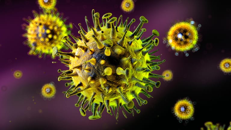 Influenza Virus