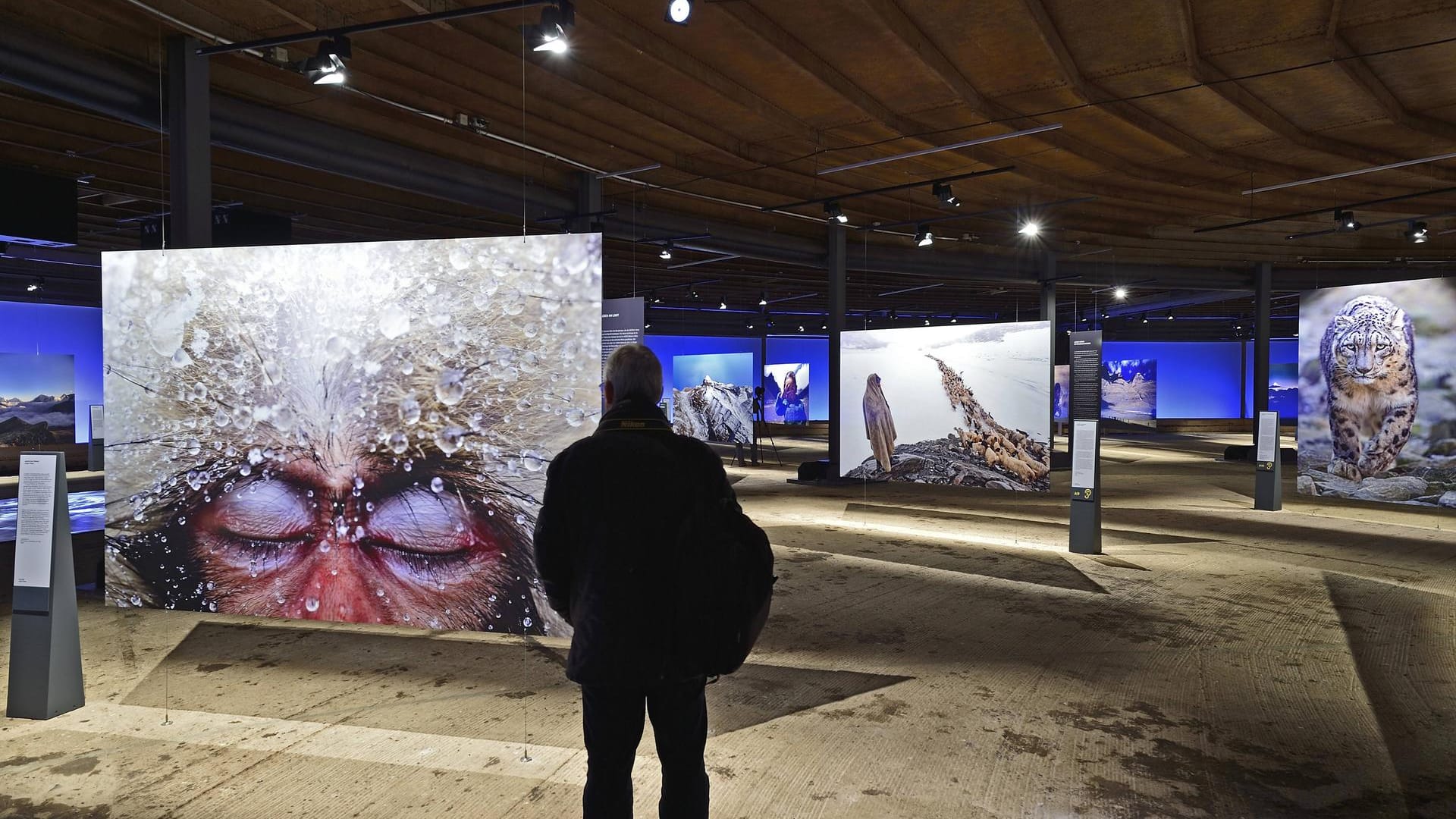 Ausstellung im Gasometer Oberhausen: Die Industriekulisse wird zum Teil der Kunst.