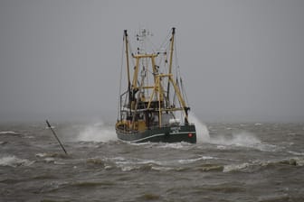 Fischkutter auf der Nordsee: Deutsche Fischer müssen im kommenden Jahr mit deutlich niedrigeren Fangmengen auskommen.