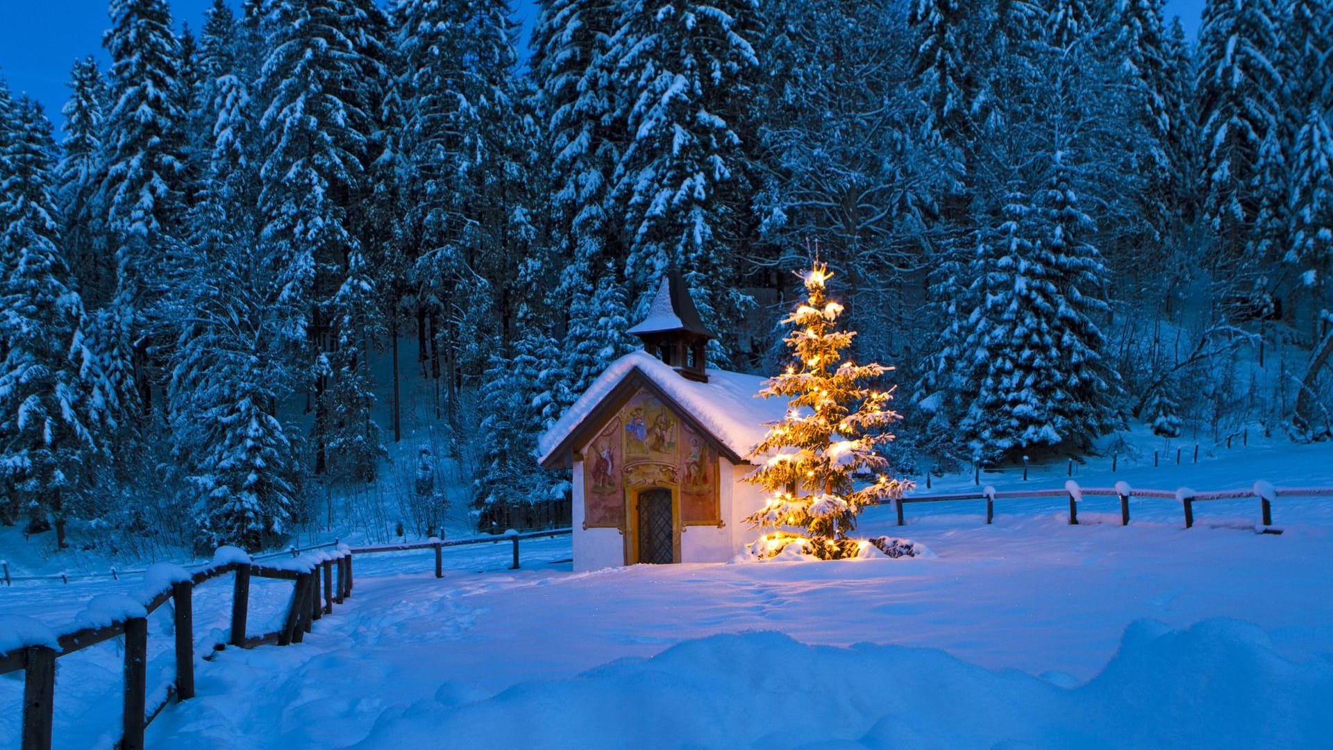 Ein Weihnachtsbaum vor einer Kapelle in Bayern: Zu Weihnachten ist es selten wirklich kalt – auch wenn die älteren Familienmitglieder sich an etwas anderes erinnern wollen, sagt Jörg Kachelmann.