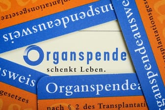 Organspendeausweise im Scheckkartenformat der Bundeszentrale für gesundheitliche Aufklärung .