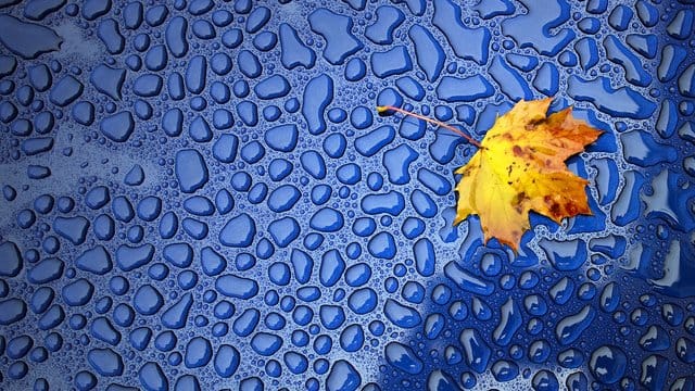 Feuchtigkeit im Auto kann einen muffigen Geruch im Innenraum verursachen. Feuchtigkeit im Auto kann einen muffigen Geruch im Innenraum verursachen.
