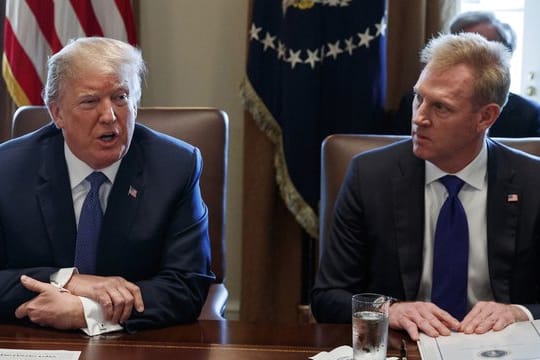Der zukünftige Verteidigungsminister Patrick Shanahan sitzt während einer Kabinettssitzung neben Donald Trump.
