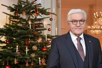 Bundespräsident Frank-Walter Steinmeier steht im Schloss Bellevue vor einem geschmückten Weihnachtsbaum.