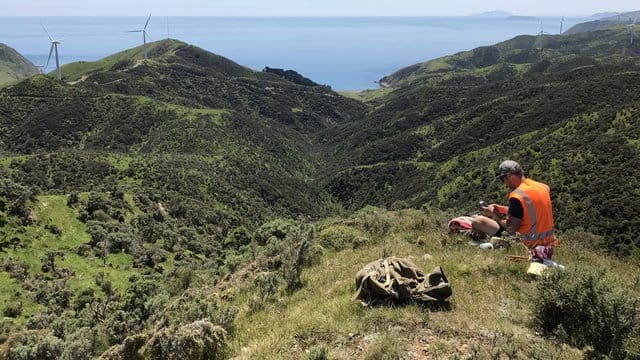 Mehr als 4000 Raubtierfallen sollen in den Hügeln am Stadtrand aufgestellt werden.