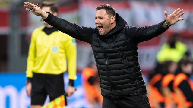 Musste das Fußballjahr mit einer Niederlage abschließen: Hertha-Coach Pal Dardai. Musste das Fußballjahr mit einer Niederlage abschließen: Hertha-Coach Pal Dardai.