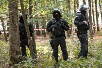 Polizei im Hambacher Forst (Symbolbild): In der Nacht zum ersten Weihnachtstag werfen Unbekannte Steine und Molotowcocktails auf Fahrzeuge des Konzerns RWE.