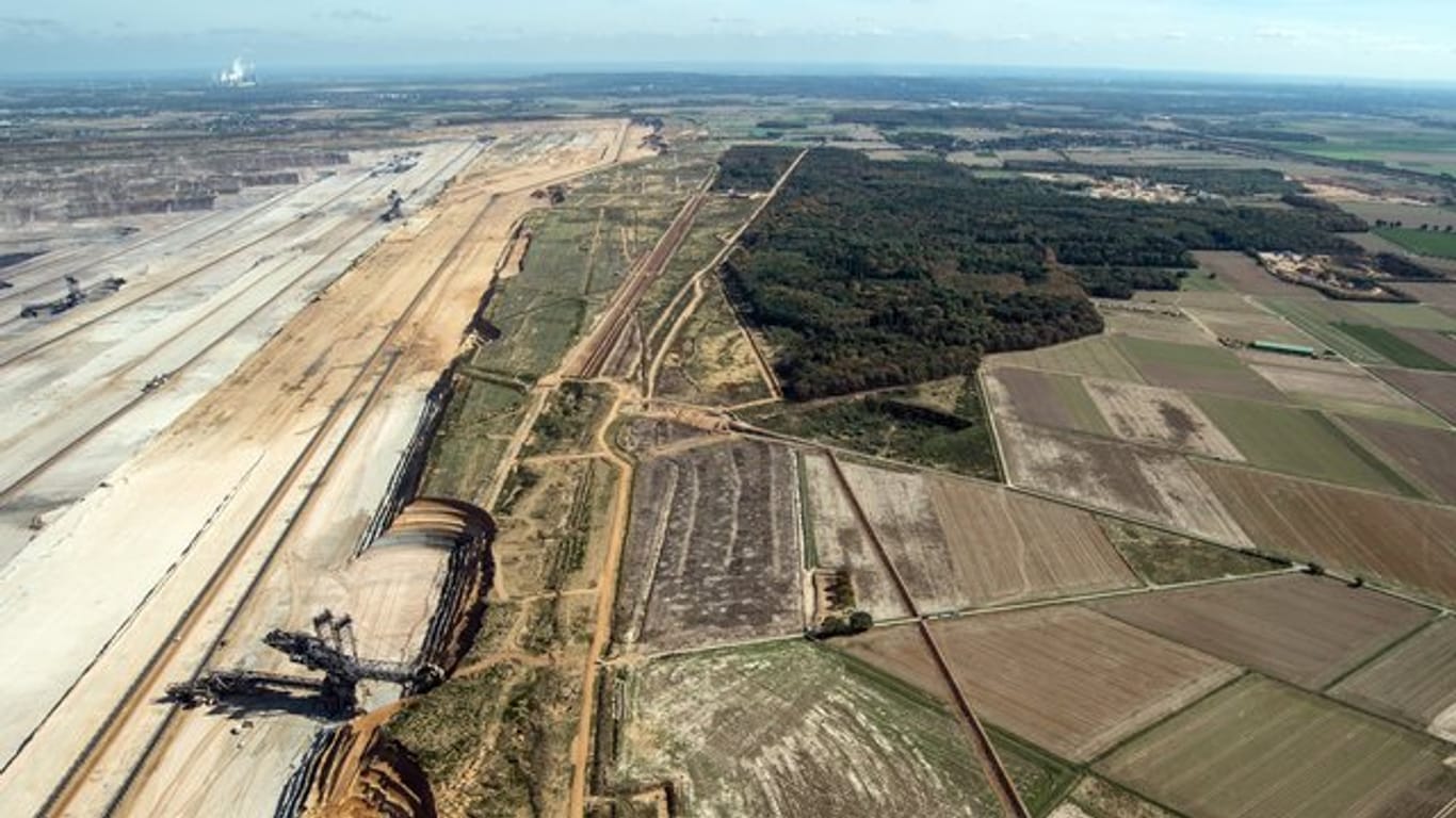 RWE will den Hambacher Forst zur Erweiterung des benachbarten Braunkohle-Tagebaus weitgehend roden.