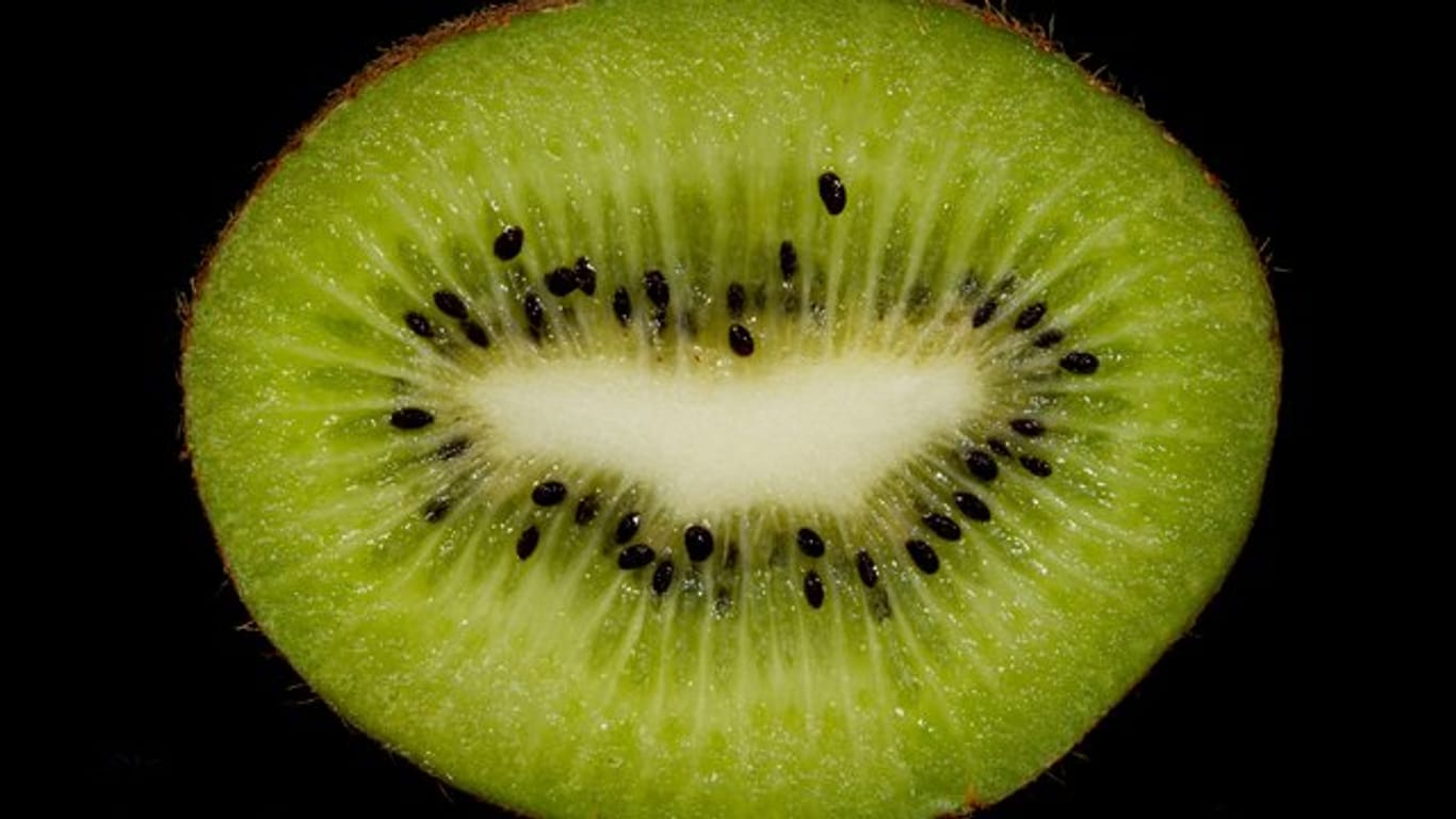Die Kiwi enthält ein Enzym, welches Milcheiweiß in Bruchstücke spaltet und so im Zusammenspiel mit Joghurt oder Quark für einen bitteren Geschmack sorgt.