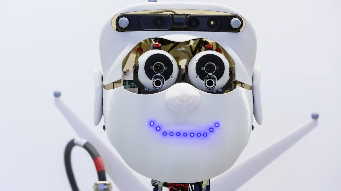 Roboter "Apollo" im Max-Planck-Institut in Tübingen: Jobkiller oder Alltagshelfer?