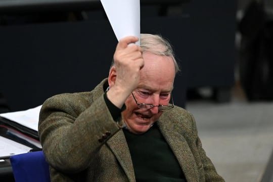 Der AfD-Fraktionsvorsitzende Alexander Gauland im Dezember im Bundestag.