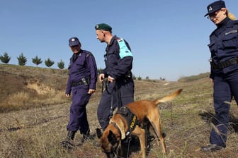 Griechische Grenzschützer mit einem Frontex-Beamten in Nordgriechenland: Den EU-Ländern geht der Ausbau der Grenzbehörde Frontex nun doch zu schnell.