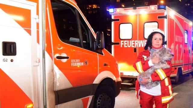 Der Vierbeiner wurde aus einer Wohnung von den Rettungskräften vor den Flammen gerettet.