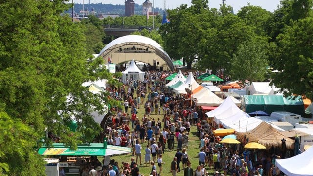 Besucher des Africa-Festivals laufen über das Gelände am Main.