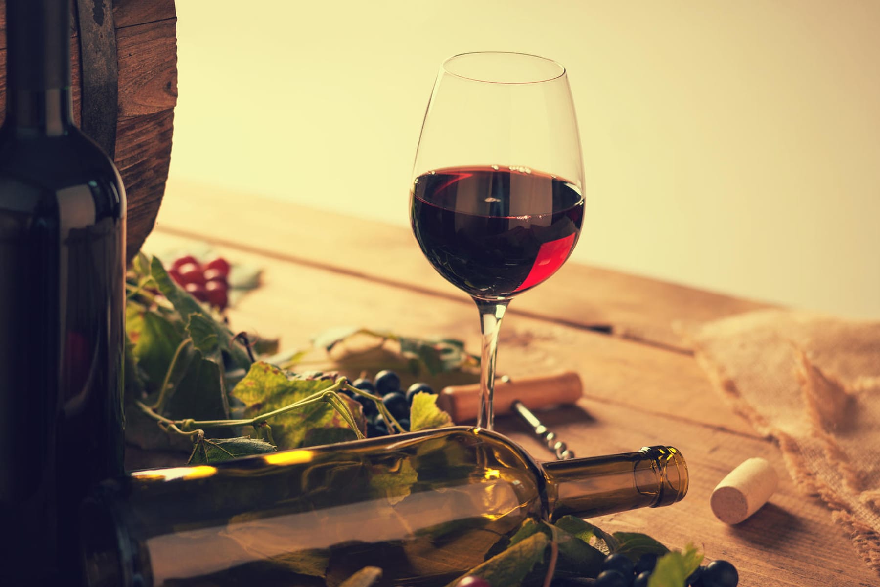 Weinkühlschrank im Vergleich: So lagert Ihr Wein bei perfekter Temperatur