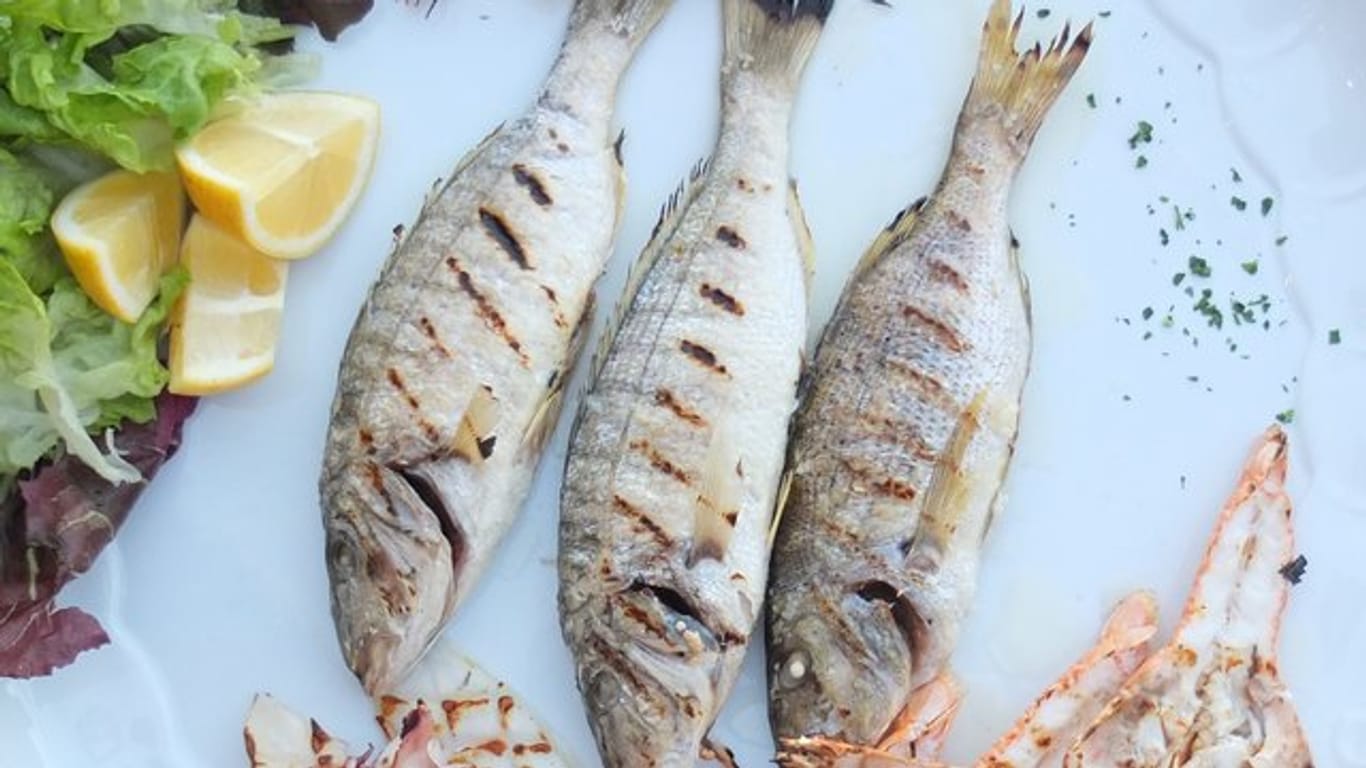 Fisch liefert wichtige Omega-3-Fettsäuren und ist für Rheumakranke eine gute Alternative zu Fleisch von Vierbeinern.