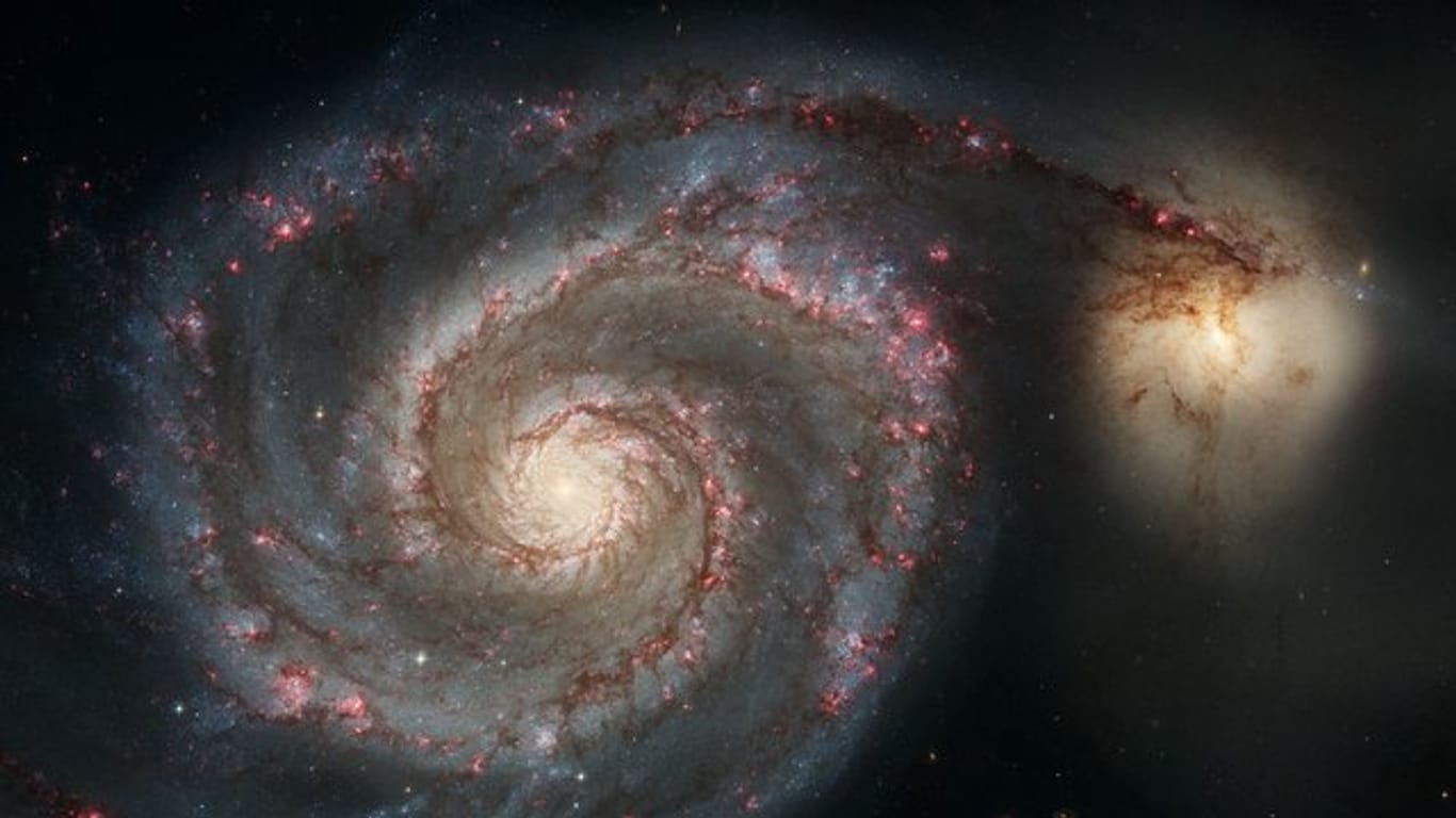 Die Whirlpool-Galaxie (M51a) und die Begleitgalaxie (M51b).