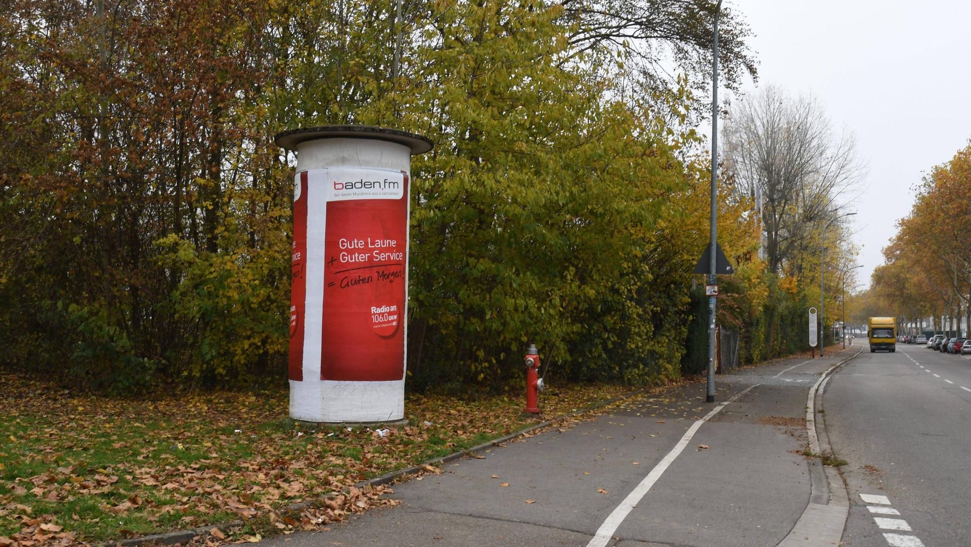 Ein Wäldchen nahe eines Industriegebiets in Freiburg: Der Schauplatz der mutmasslichen Gruppenvergewaltigung. Ein Wäldchen nahe eines Industriegebiets in Freiburg: Der Schauplatz der mutmasslichen Gruppenvergewaltigung.