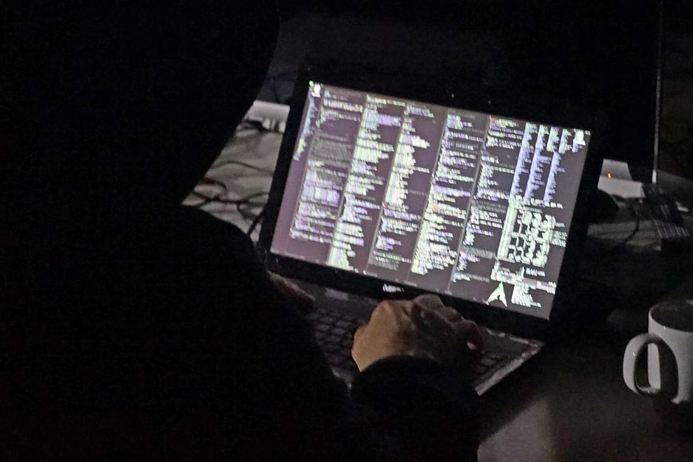 Ein Mann sitzt vor seinem Laptop: In Deutschland fehlt vielfach noch das Bewusstsein für Gefahren im Netz.
