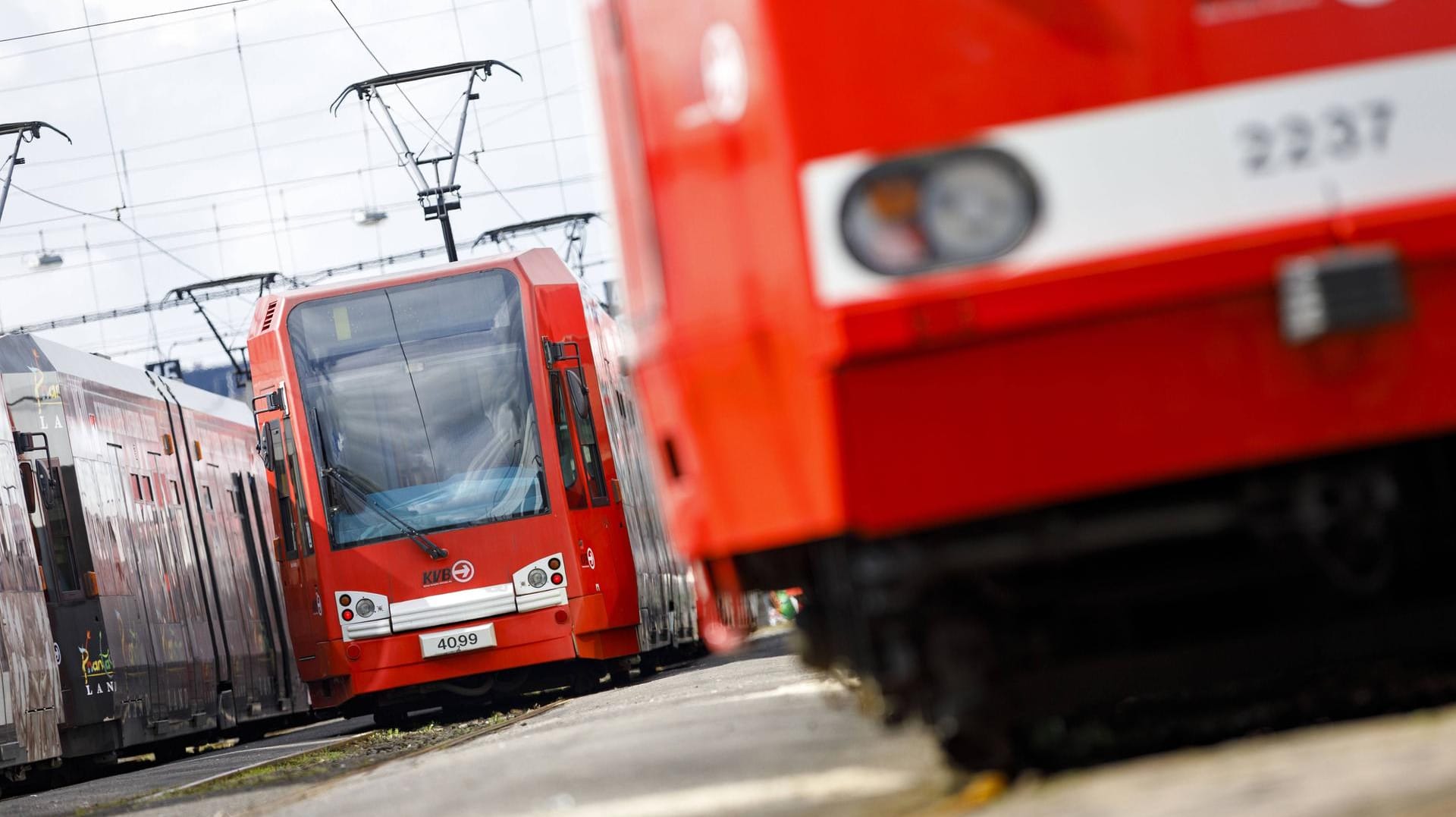 Bahnen der Kölner Verkehrsbetriebe: Ein Sprecher nannte den Vorfall "peinlich". (Archivbild)