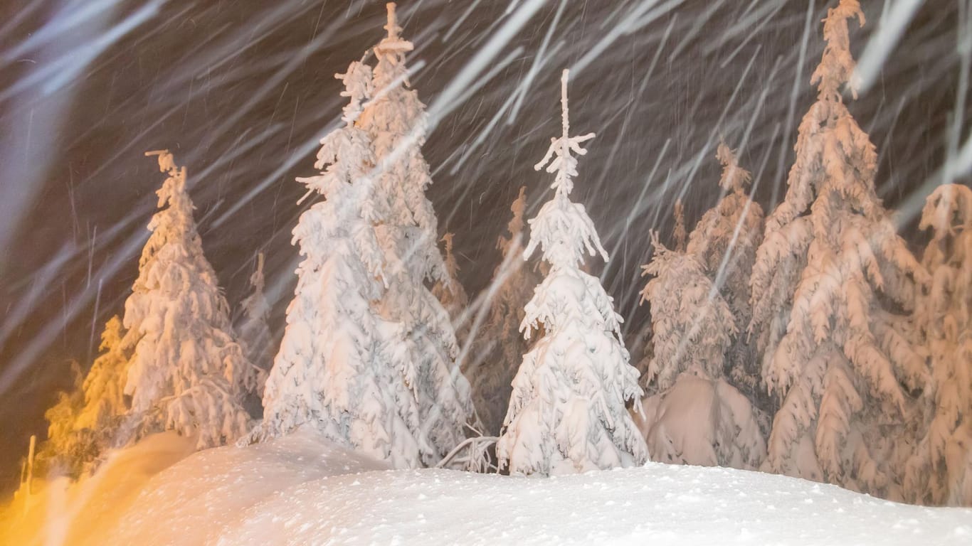 Tief verschneiter Wald im Erzgebirge: In Sachsen soll bis Donnerstag viel Schnee fallen.