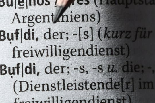 Der Begriff "Bufdi" für "Bundesfreiwilligendienst" und "Dienstleistende im Bundesfreiwilligendienst" steht im Duden.