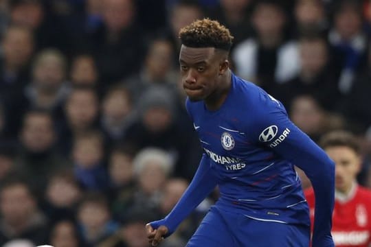 Der FC Bayern München möchte Callum Hudson-Odoi vom FC Chelsea verpflichten.