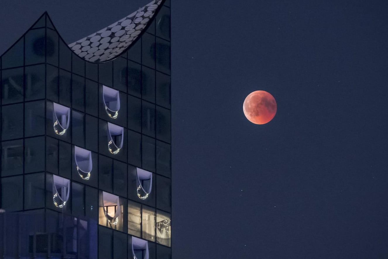 Blutmond in Hamburg: Frühaufsteher können am Montag bei wolkenfreiem Himmel Zeuge eines kosmischen Schauspiels werden.