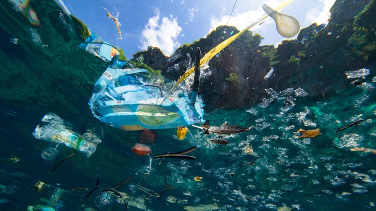 Plastik verunreinigt unsere Meere.
