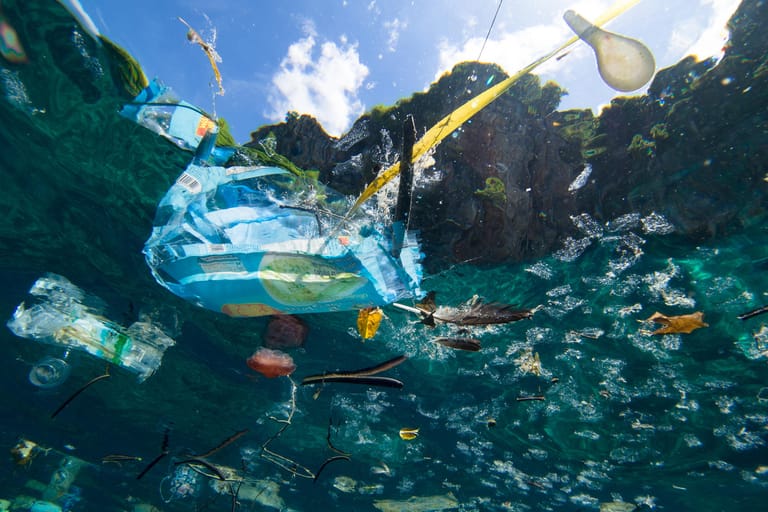 Plastik verunreinigt unsere Meere.