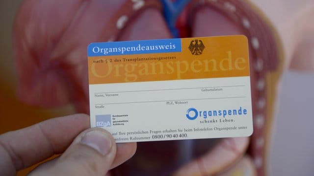 Organspendeausweis: Damit erklärt die Person, ob sie einverstanden ist, sämtliche oder einige Organe zu spenden. Organspendeausweis: Damit erklärt die Person, ob sie einverstanden ist, sämtliche oder einige Organe zu spenden.